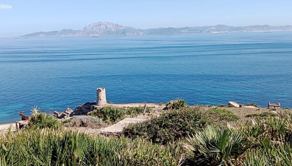 Tarifa