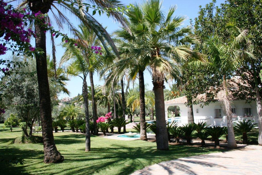 Nueva Andalucía, Marbella
